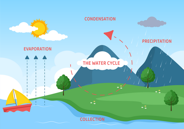 Cycle de l'eau sur Terre  Illustration