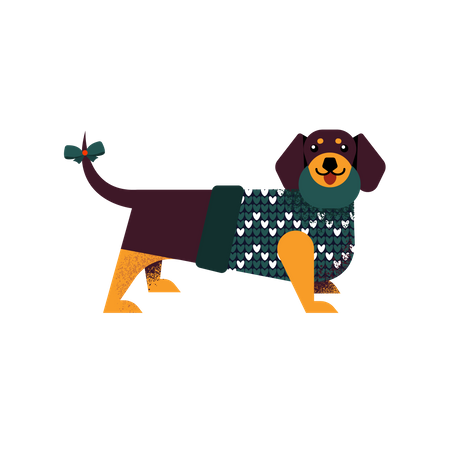 Dachshund dog in a sweater Illustration