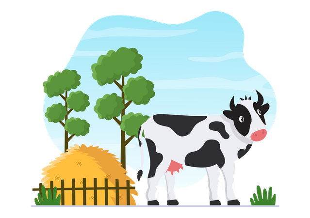 Dairy Cow  Illustration