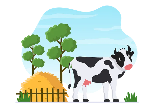 Dairy Cow  Illustration