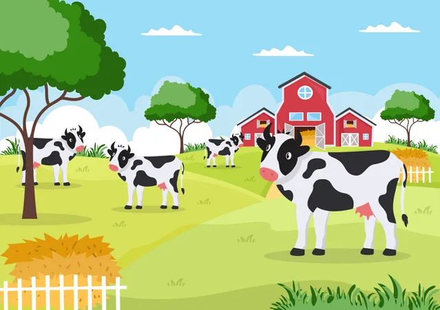 Dairy Cows in farm land Illustration