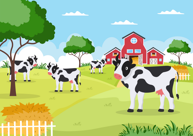 Dairy Cows in farm land  Illustration