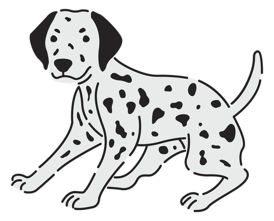 Dalmatian dog  Illustration