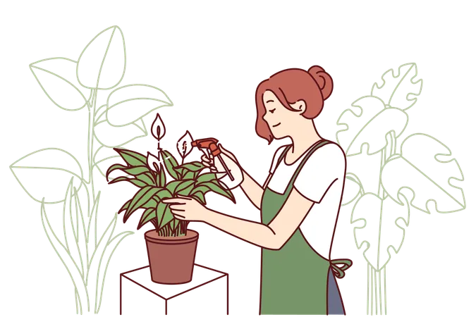 Lady pulvérise de l'eau sur les plantes d'intérieur  Illustration