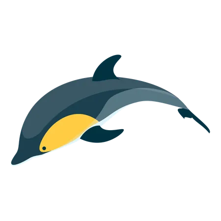 Dauphins  Illustration