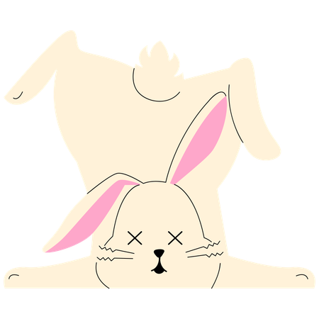 Dead Bunny  Illustration