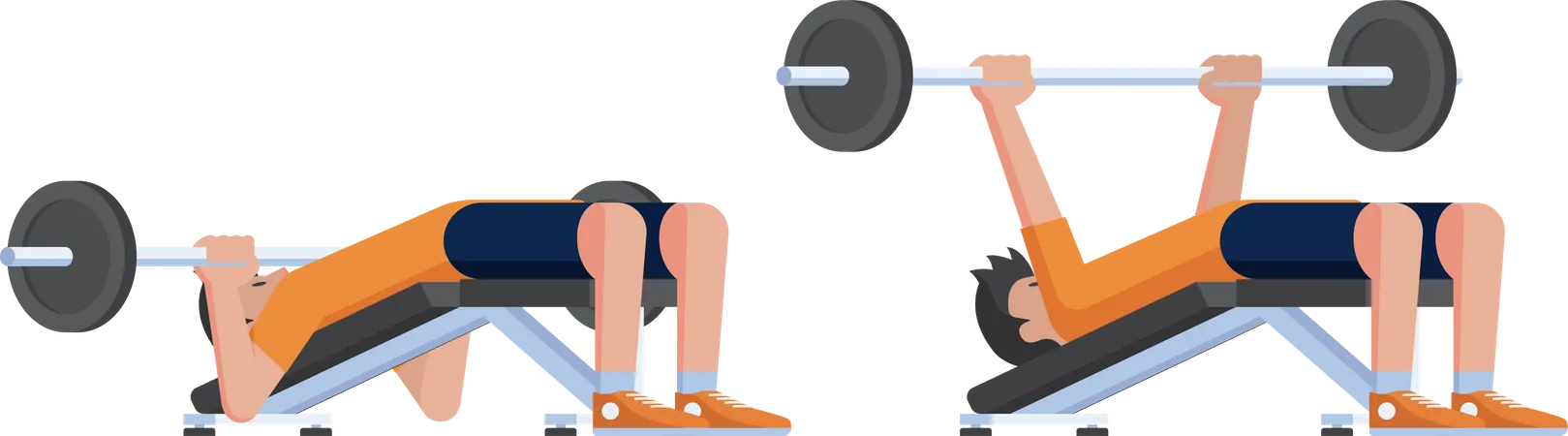 Decline Chest Press  Illustration