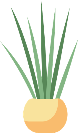 Decorating home with snake plant Illustration