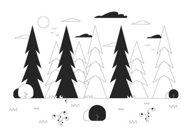 Deep pine forest  Illustration