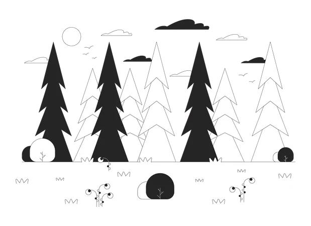 Deep Pine Forest Black And White Cartoon Flat Illustration Wanderlust Leisure Fir Trees Growing Near Grassy Glade 2 D Lineart Objects Isolated Discovery Nature Monochrome Scene Vector Outline Image Illustration