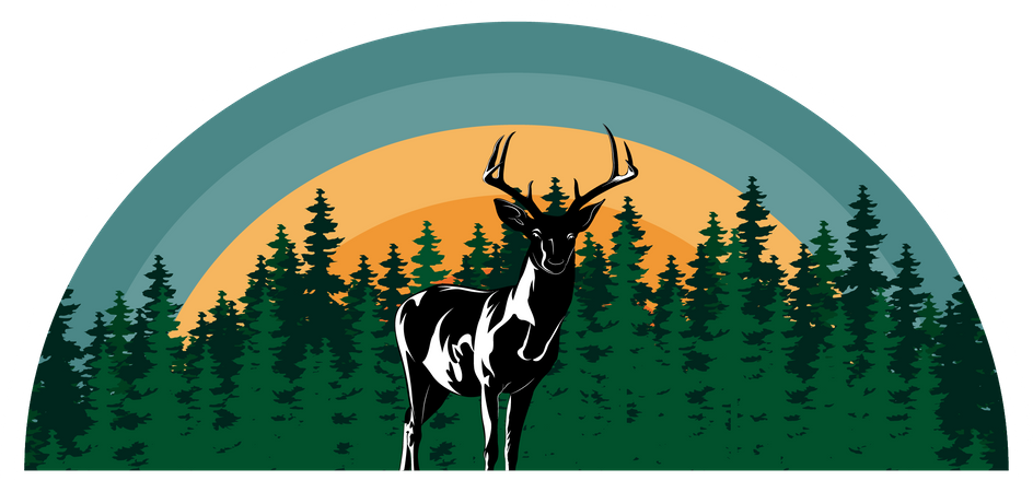 Deer  Illustration