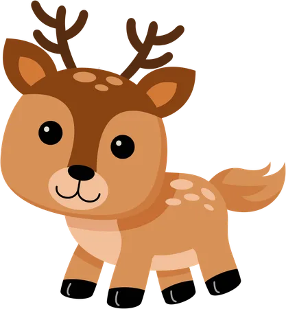 Deer  Illustration