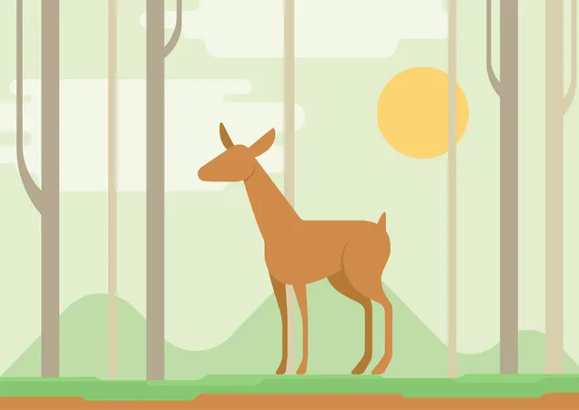 Deer  Illustration