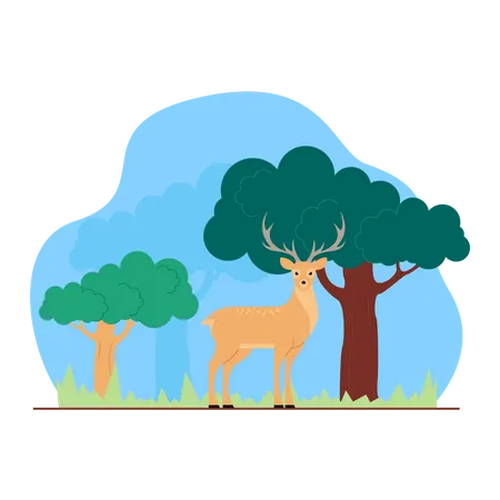 Deer  Illustration