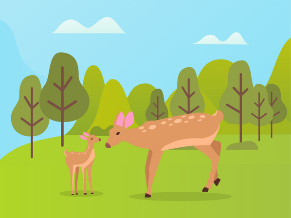 Deer in Park  Illustration