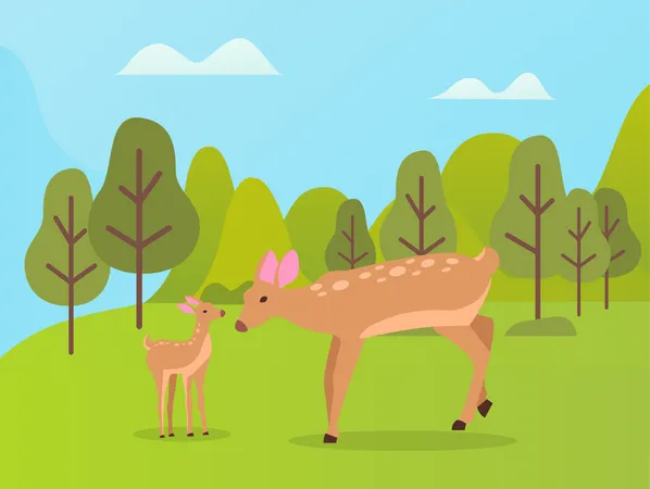 Deer in Park  Illustration