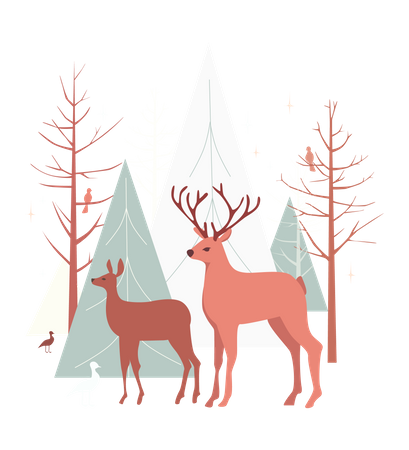 Deer stag and doe standing in forest  Illustration