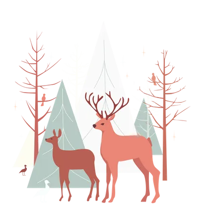 Deer stag and doe standing in forest  Illustration