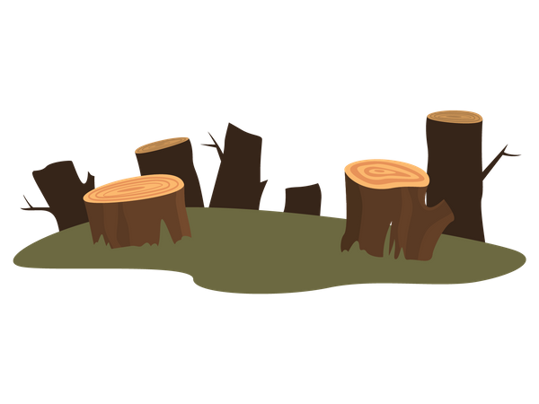 Deforestation  Illustration