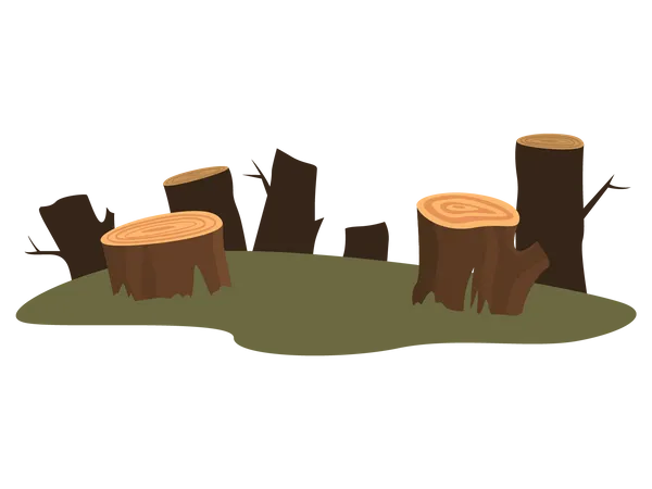 Deforestation  Illustration