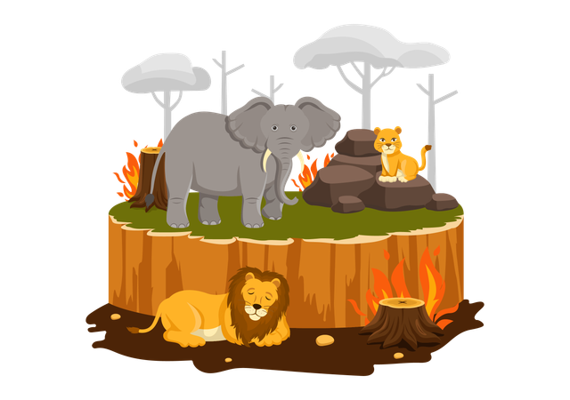 Deforestation scenario  Illustration