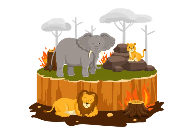 Deforestation scenario  Illustration