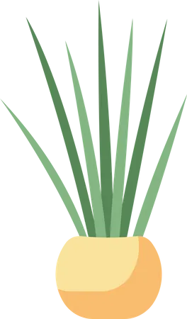 Das Zuhause mit der Sansevieria dekorieren  Illustration