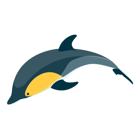 Delfines  Ilustración