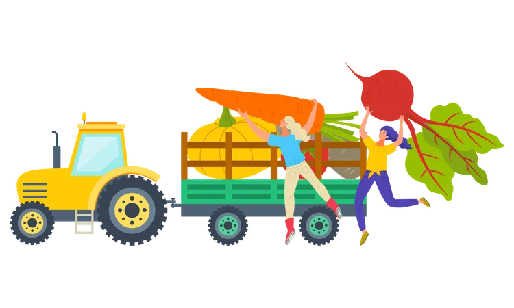 Delivery of harvesting vegetables  Illustration