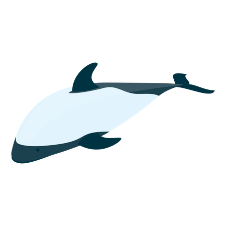 Delfin  Illustration