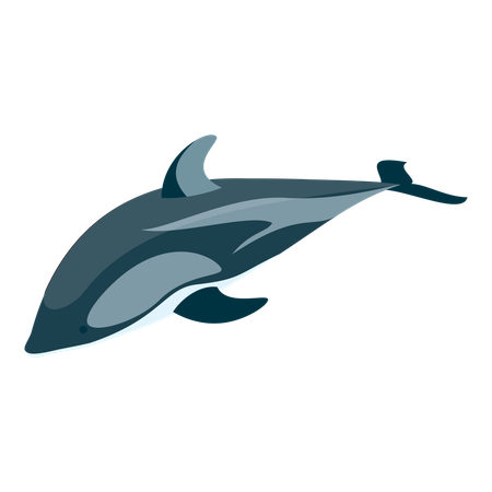 Delfin  Illustration