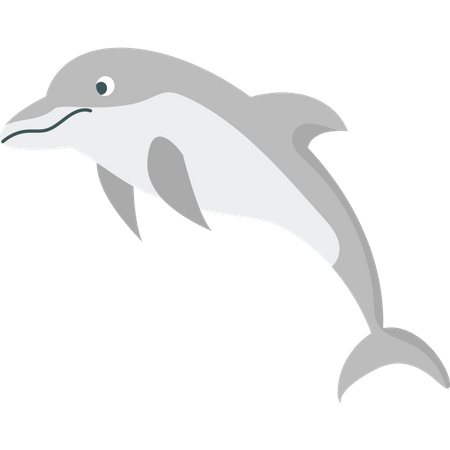 Delphin springt ins Meer  Illustration
