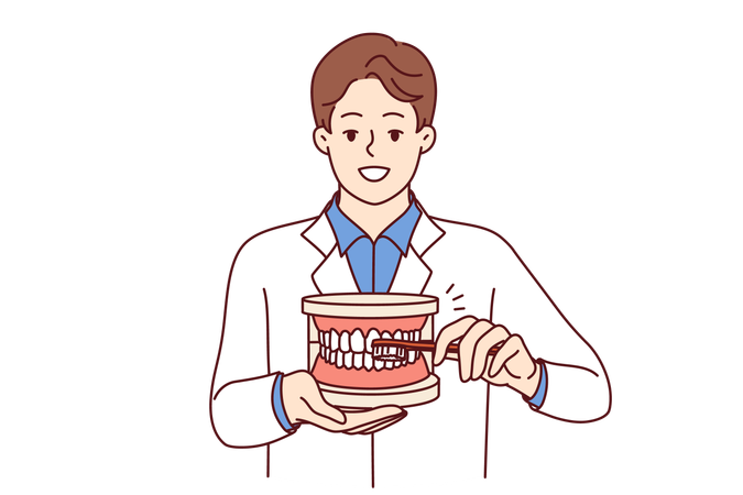 Dentist explains oral hygiene  Illustration