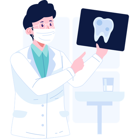 Dentist holding tooth xray  Illustration