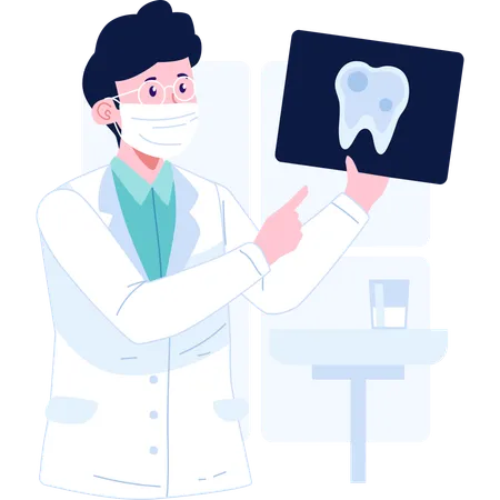 Dentist holding tooth xray  Illustration