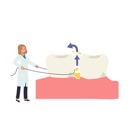 Dentist woman displaying Use of dental floss  Illustration