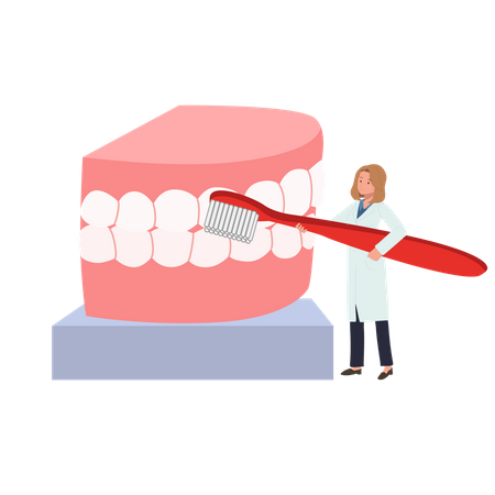 Dentista con cepillo de dientes grande que presenta cómo limpiar los dientes  Ilustración