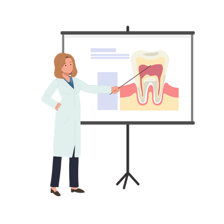 Mujer dentista explica sobre el diente en la pizarra  Ilustración