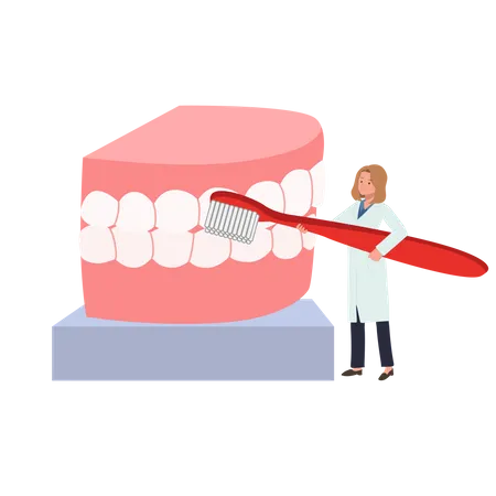 Dentista feminina com escova de dentes grande apresentando como limpar os dentes  Ilustração