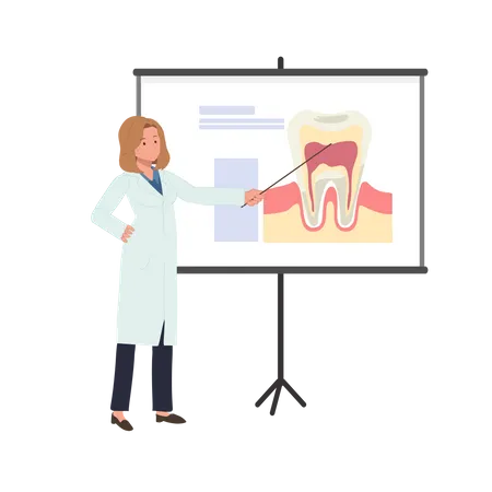 Dentista feminina explica sobre dente no quadro branco  Ilustração