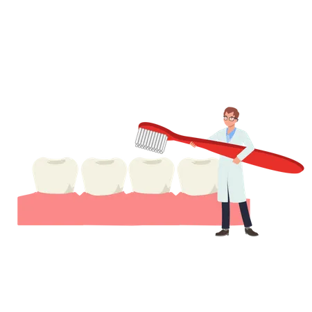 Conceito Medico Odontologico Dentista Masculino Com Escova De Dentes Grande Esta Apresentando Ou Mostrando Como Limpar Os Dentes Com Modelo De Boca Grande Ilustracao Vetorial De Desenho Animado Plano Ilustração