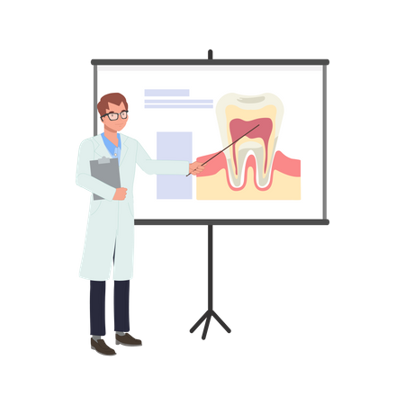 Dentista masculino explica sobre dente no quadro branco  Ilustração
