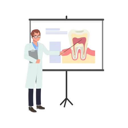 Dentista masculino explica sobre dente no quadro branco  Ilustração