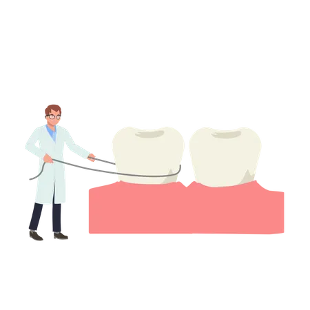 Dentista masculino mostrando como usar fio dental  Ilustração