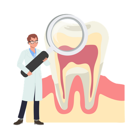 Investigación del dentista masculino sobre los dientes.  Ilustración