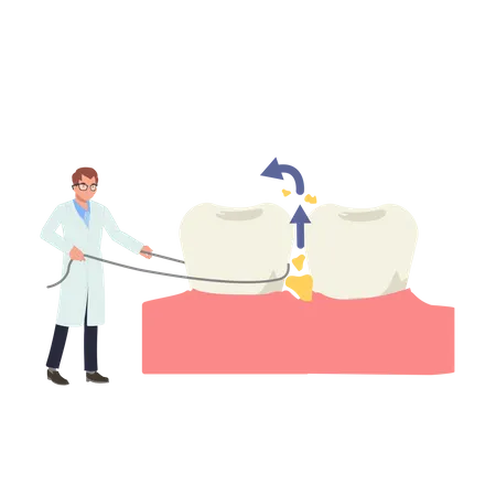 Concepto Medico Dental Dentista Masculino Mostrando Como Usar Hilo Dental Ilustracion Vectorial De Dibujos Animados Planos Ilustración