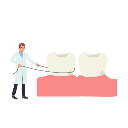 Concepto Medico Dental Dentista Masculino Mostrando Como Usar Hilo Dental Ilustracion Vectorial De Dibujos Animados Planos Ilustración