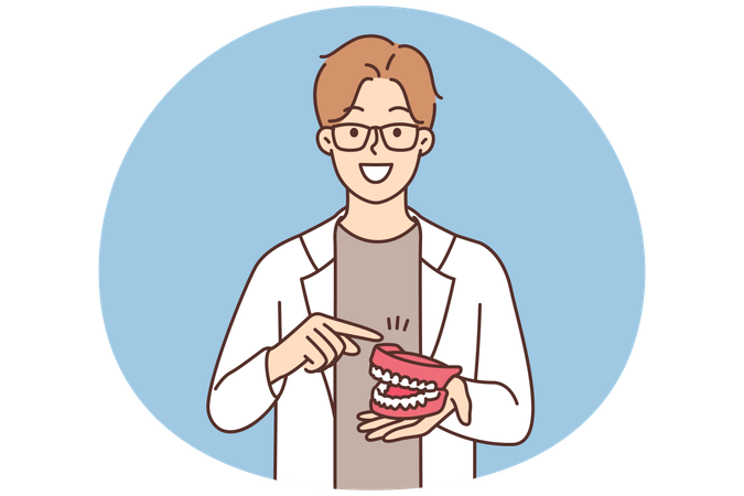 El dentista muestra un modelo de mandíbula.  Ilustración