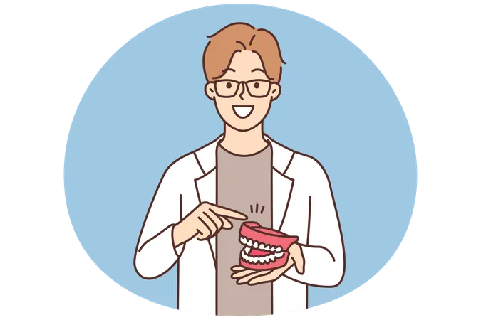 El dentista muestra un modelo de mandíbula.  Ilustración