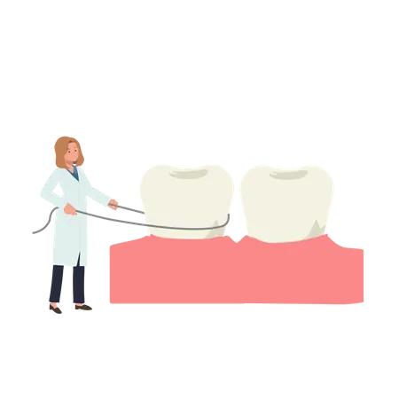 Concepto Medico Dental Mujer Dentista Mostrando Como Utilizar El Hilo Dental Ilustracion Vectorial De Dibujos Animados Planos Ilustración